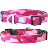 Amazon.com : JC HOUSE Hands Free Dog Leash with Waist Belt